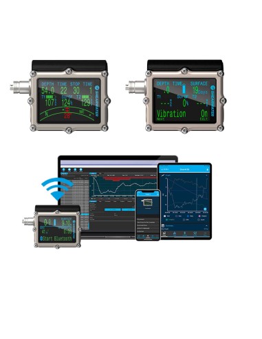 Shearwater Petrel 3 Fischer