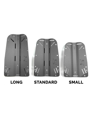 Halcyon Backplate + arnés