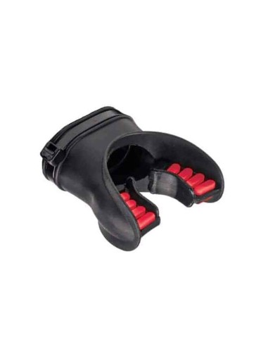 Hollis Orthodontic Mouthpiece