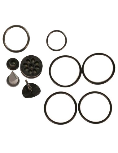 OMS P-Valve repair and Spare part kit