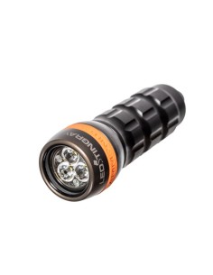 Ammonite System Led...