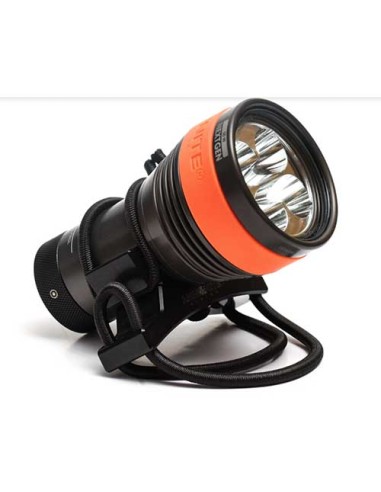 Ammonite Asa blanda manos libres