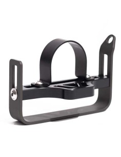 Ammonite standard goodman... 2