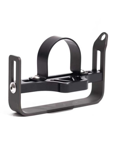 Ammonite Asa estándar