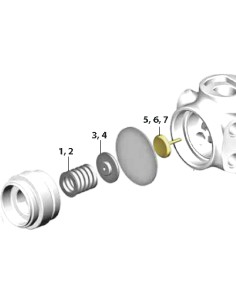 Apeks Partes internas de la...