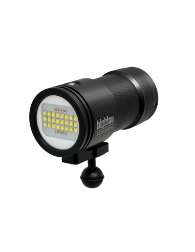 Big Blue VL20000P Pro Mini