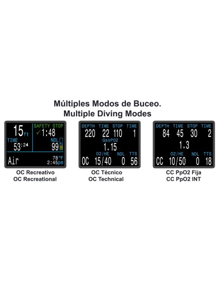 Shearwater Petrel 2, Fischer