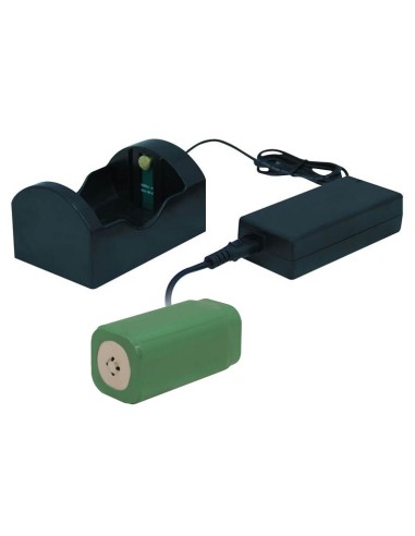 Big Blue Battery charger 18650 x 4...