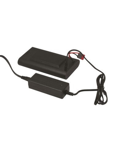 Big Blue Cargador para VL650000P,...