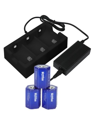 Big Blue Battery charger for TL4000,...