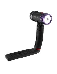 Sea Dragon Fluorid Dual...