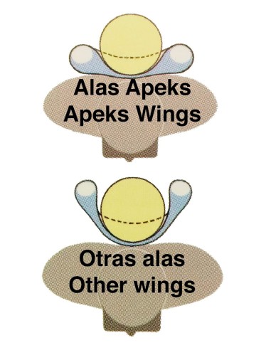 J.Dive/Apeks WTX PSD