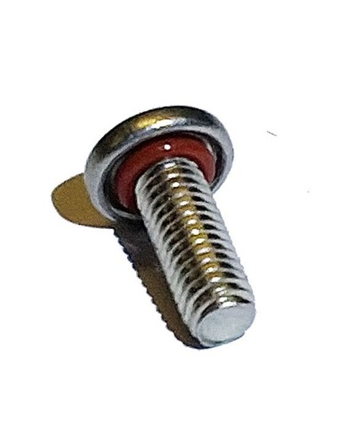 DSV lever screw