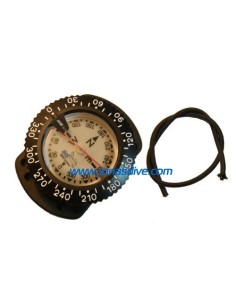 bts-compass-mounted-with-bungee