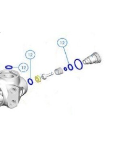 Apeks Junta HP interna