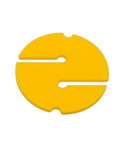 galleta-amarillo-real-grande