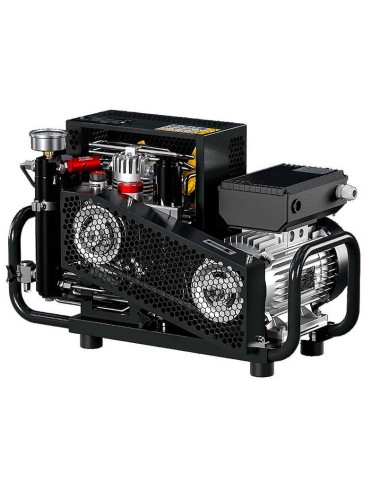 Coltri ICON LSE 100 EM