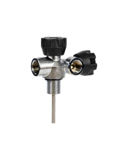 Lola T-SV 200 Air left valve